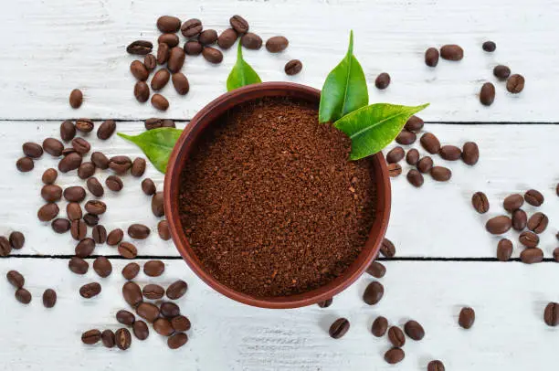 What indoor plants like coffee