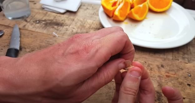 How to Plant Orange Seeds