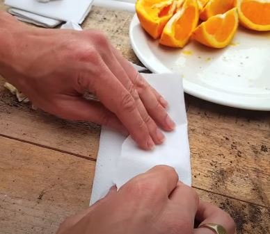 How to Plant Orange Seeds