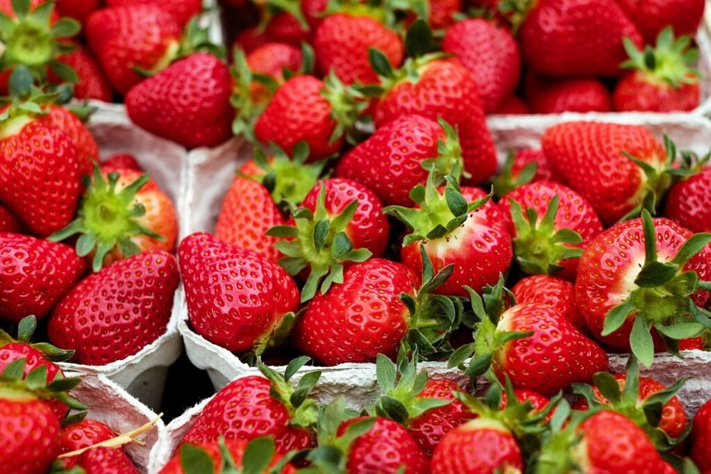 strawberries storage