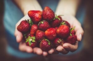 how to grow strawberries