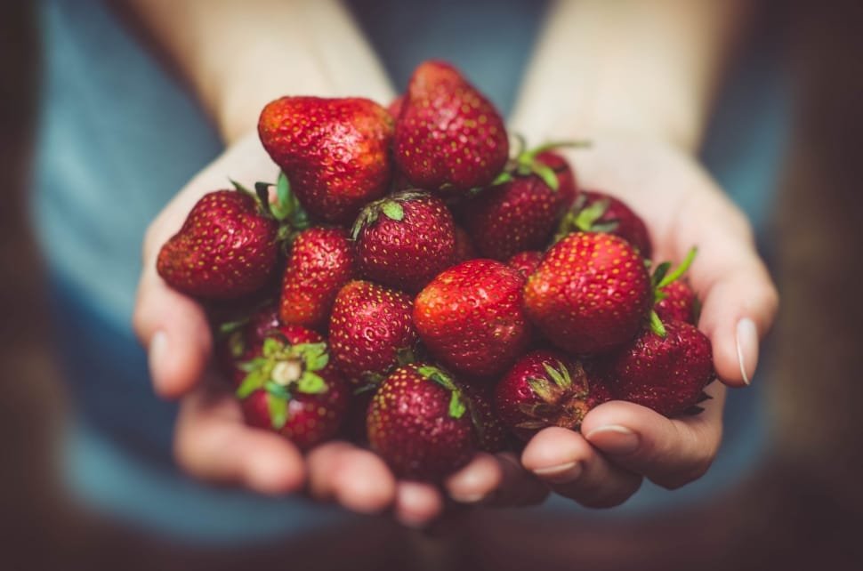 how to grow strawberries